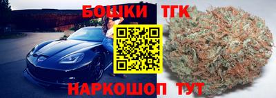 прущие грибы Абакан