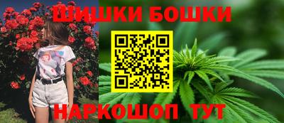 прущие грибы Абакан