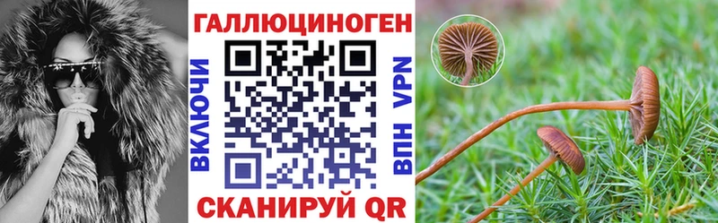 мориарти Telegram  Ангарск  Псилоцибиновые грибы мицелий 