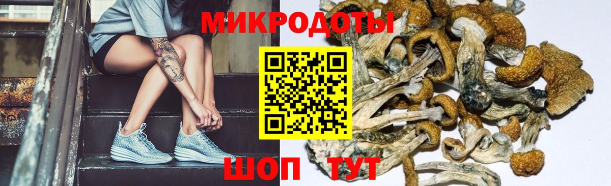 Ангарск  закладки  Вход с VPN  Галлюциногенные грибы MAGIC MUSHROOMS 